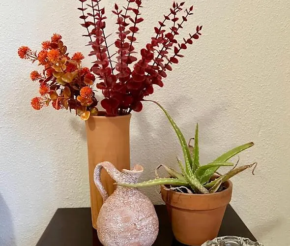 Daire Yiayias House *